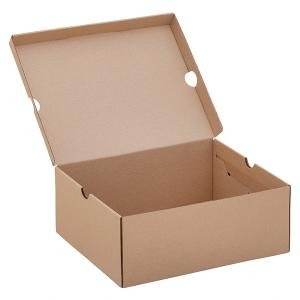 Новинка в каталоге -  картонные коробки для обуви